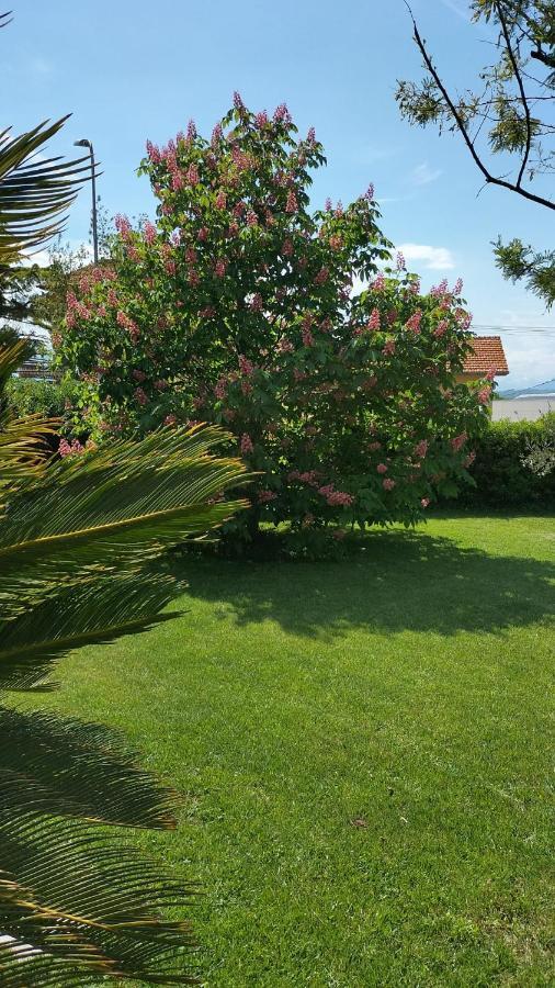 Appartamento La CASA degli IPPOCASTANI Colonnella Esterno foto