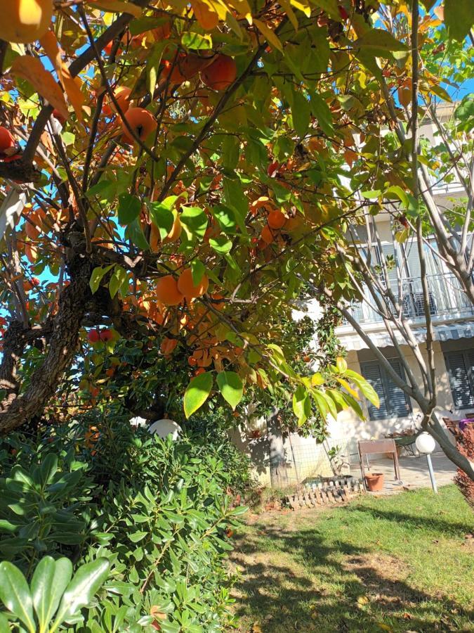 Appartamento La CASA degli IPPOCASTANI Colonnella Esterno foto