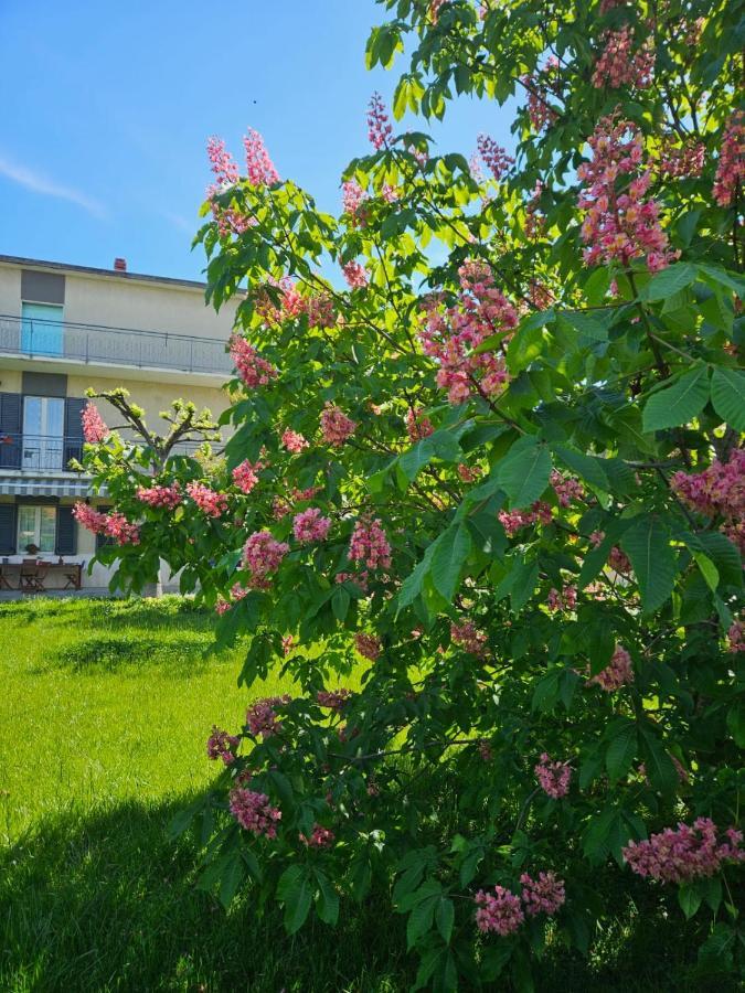 Appartamento La CASA degli IPPOCASTANI Colonnella Esterno foto